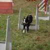foire-haricots 2011-09-17et18